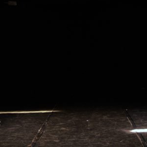 Il Bradipo e la Carpa - 6