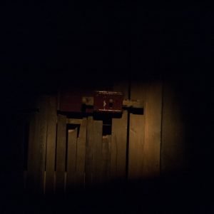 Non merita lamenti - 11