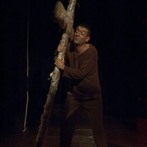 Storie di Terra, di Suoni e di Rumori - 15